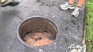 Cockroaches Have A Perfect Environment Outside Your Door