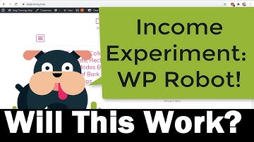 Income Experiment: WP ROBOT [Part 1]  Building 3 Automatic Niche Blogs