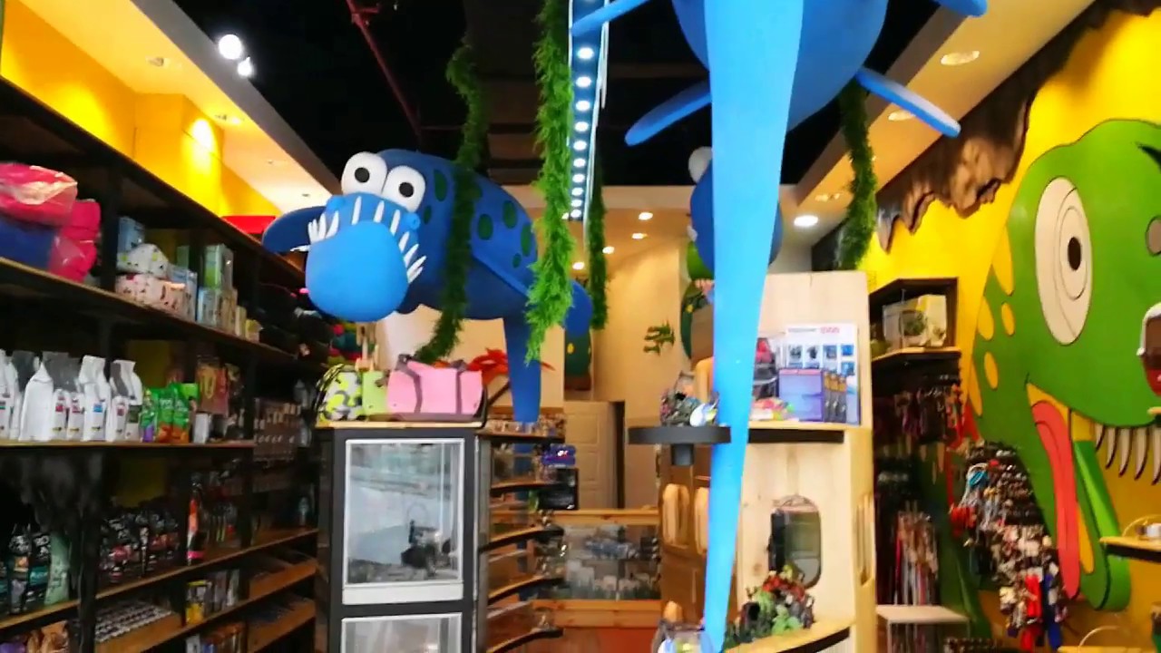 DINOS PET SHOP honduras money