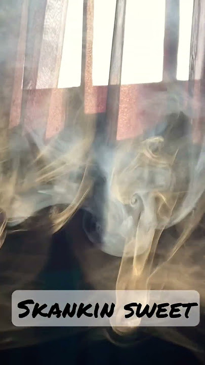 Best Attitude Smoke visual WhatsApp status video || #vape #weed #smokerings #smoke #cinematic #