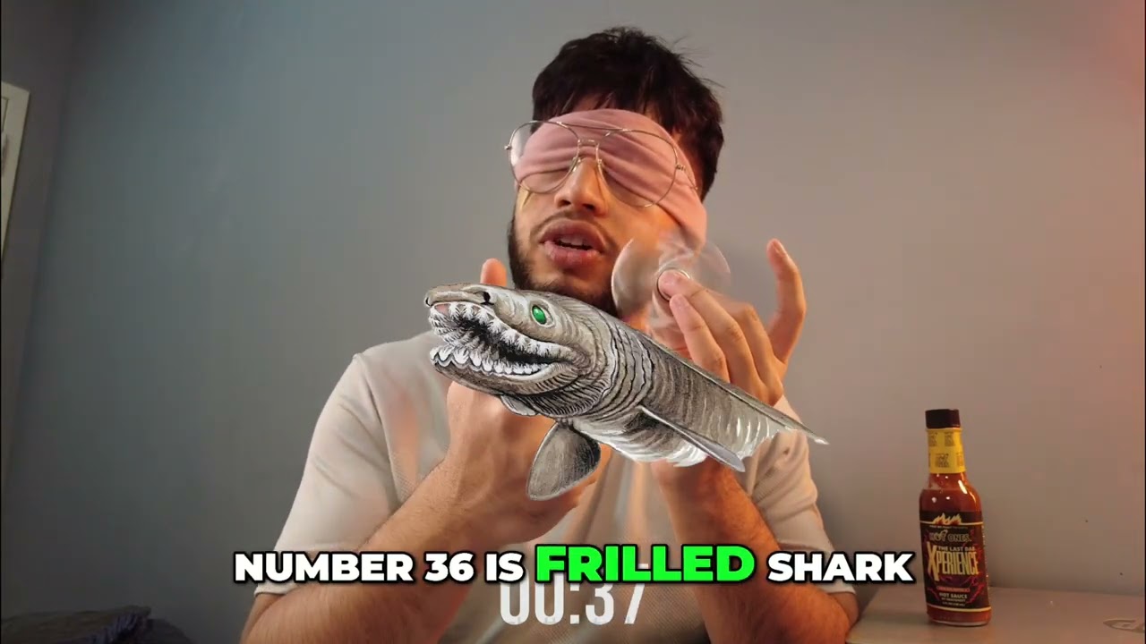 The Deadliest Sharks Ranked (From Memory)