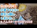小夏ファミリーのお引越し・衣装ケースを使ったハムスターケージのつくり方　2021年6月のようす【ハムスター/キンクマ】