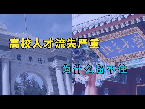 顶级高校人才流失严重，是什么原因留不住？