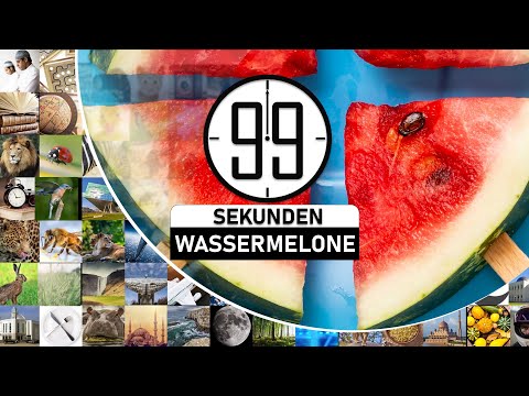 Die Wassermelone in 99 Sekunden