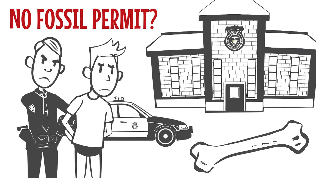 Get Your Florida Fossil Permit YouTube