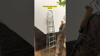 Dürüstlük Allah Rızasını Ürür