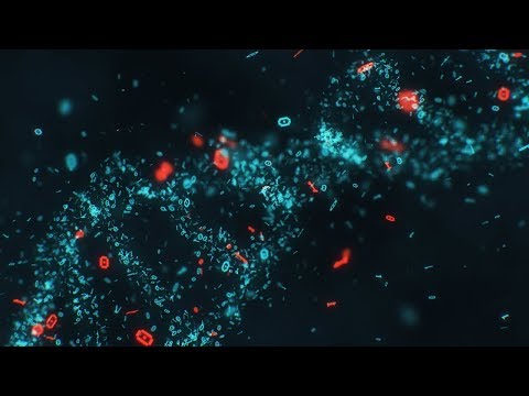 DNA Binary Genetic