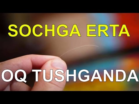 SOCHGA ERTA OQ TUSHGANDA!