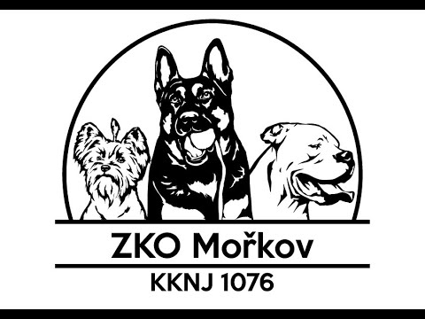 Náhled videa ZKO Mořkov