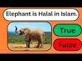 True or false quiz   islam quiz  clearquizchannel quiz quizgames