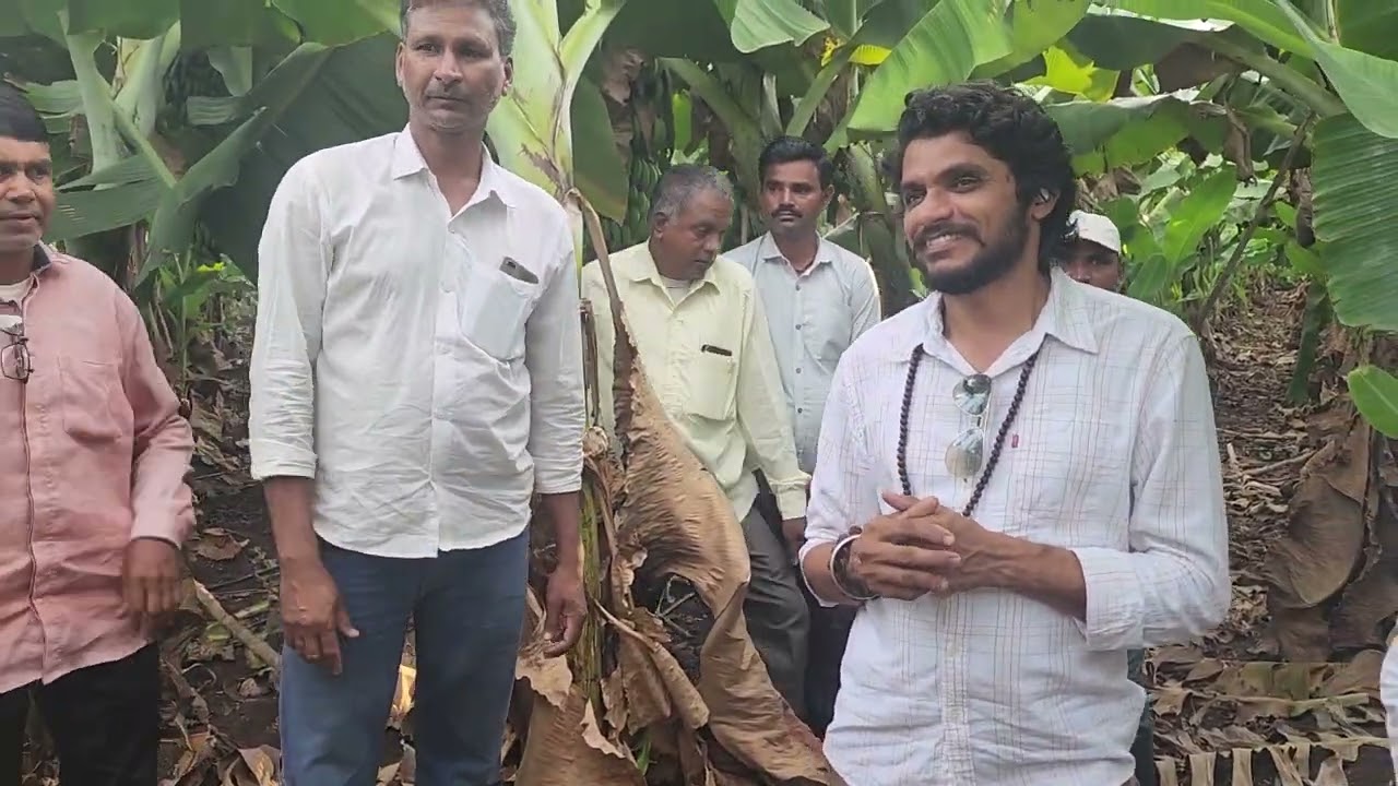 4423- Banana Farming, केला खेती में बहुत सीखना है अभी 7697438222 किसान पाठशाला BALRAM KISAN