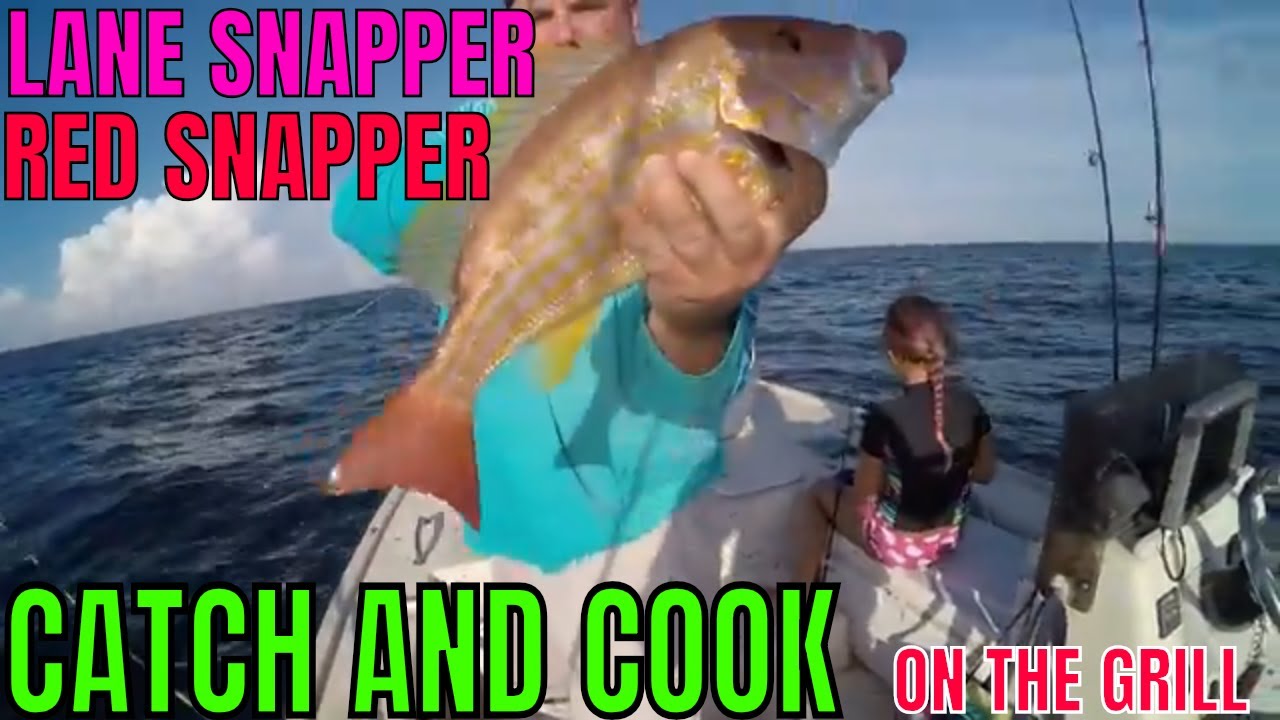 CATCH CLEAN AND COOK SNAPPER ON THE GRILL (LANE AND RED)