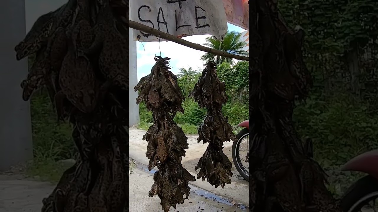 native farm frog for soup