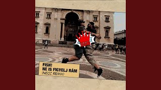 Video thumbnail of "FISH! - Ne is figyelj rám"