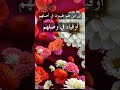 رسالة وفاء لﻷوفياء