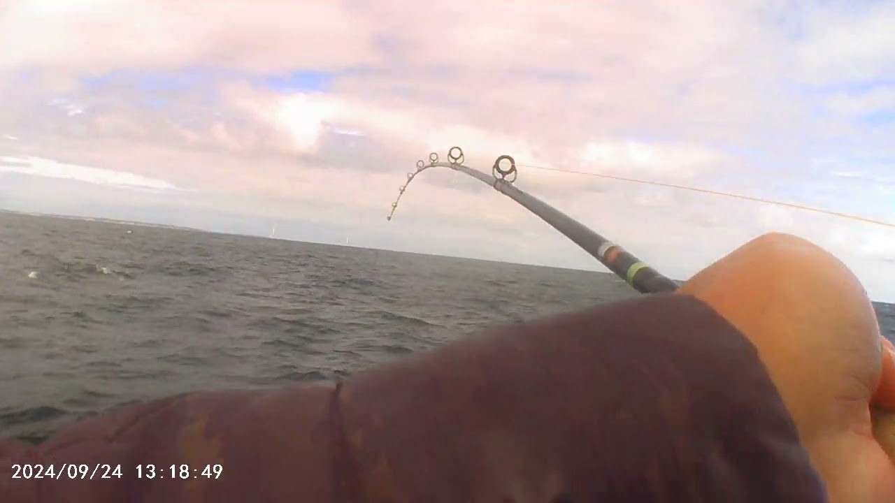 Viking Fleet - Starship - pool fish 92424