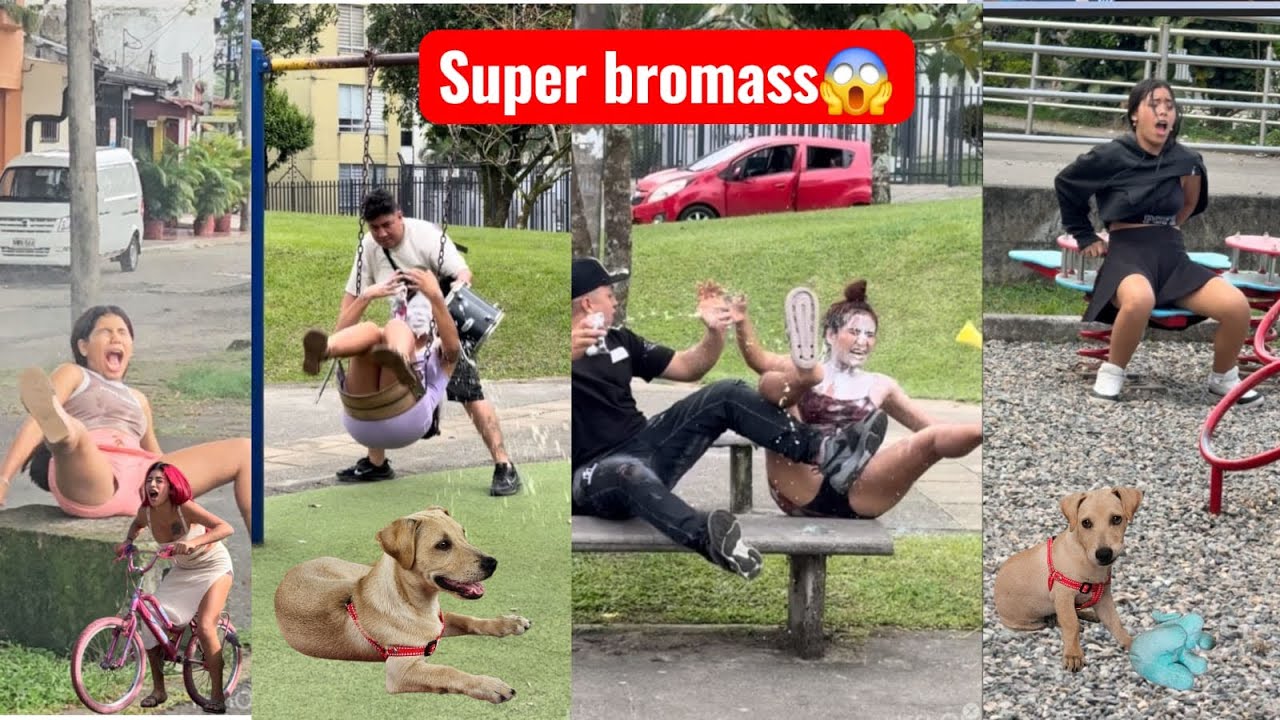 Las bromas más geniales 🦁🦁🦁