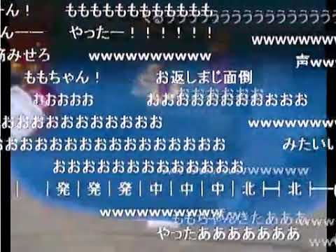 うんこちゃんのモモンガ ももちゃん