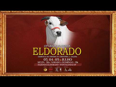 LOTE 145   CGAL 3416 IRBJ 1484 1483 1461