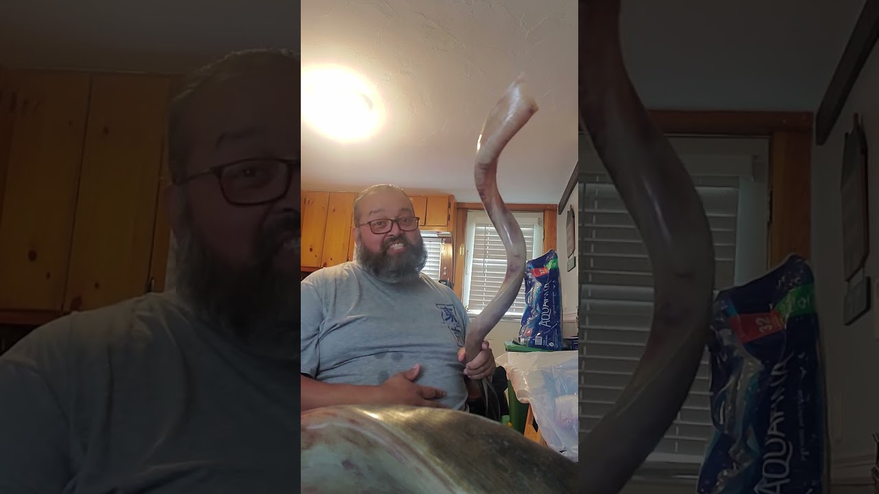 Shofar unboxing
