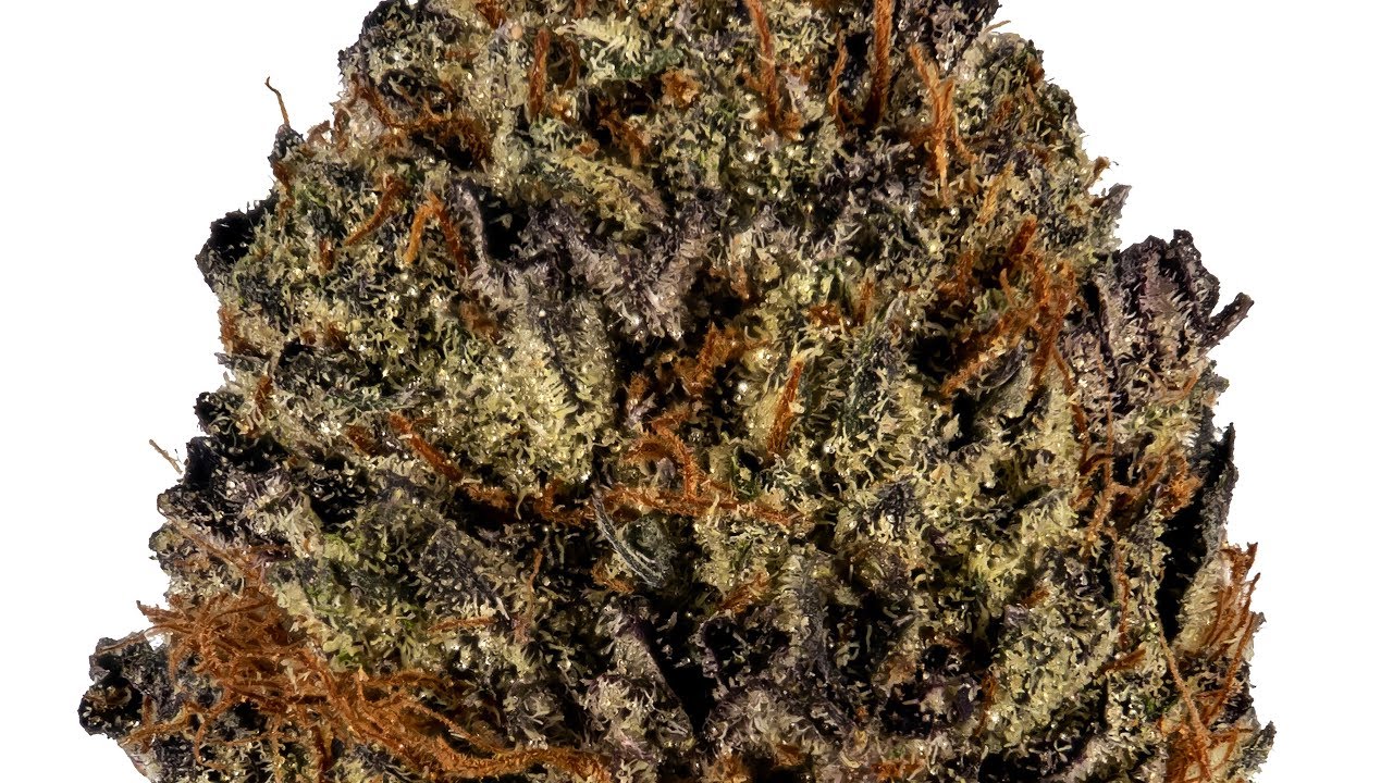 Strain Review: Pure Kush