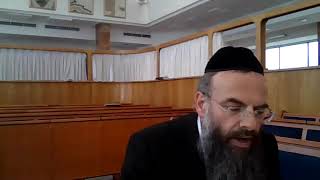 הרה"ג דוד שמואל קלופפר שליט"א | דף יומי חגיגה | י"ד ע"א