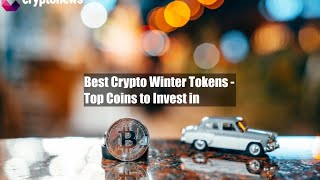 Best Crypto Winter Tokens - Top Coins to Invest in