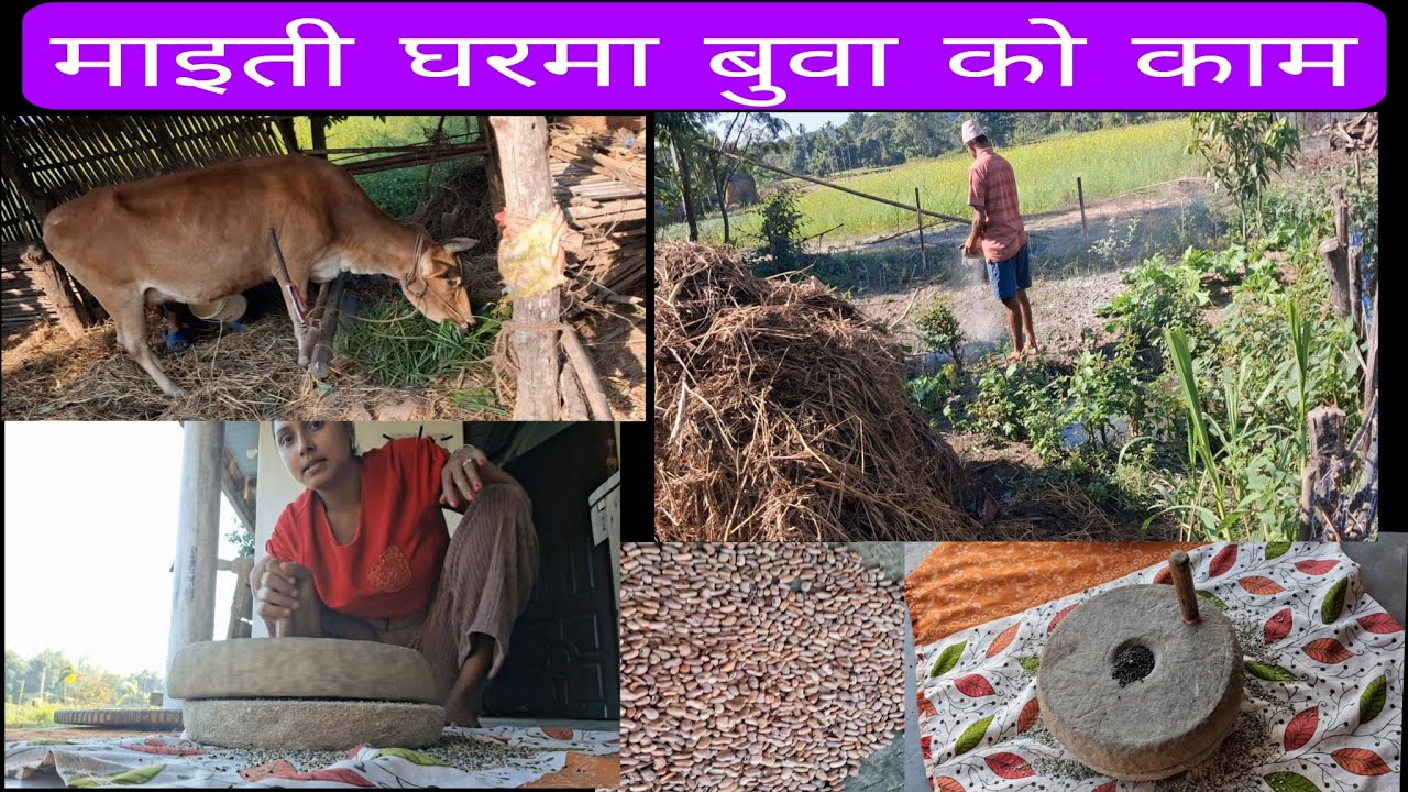 Maiti gharma pugda buwa aklai k gardai hunuhuntho ta❤️❤️