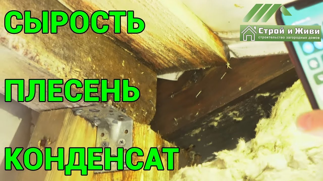 ⁣ТОП-3 убийственных причин загородного дома. Сырость. Плесень. Конденсат. Не Строй и Живи.