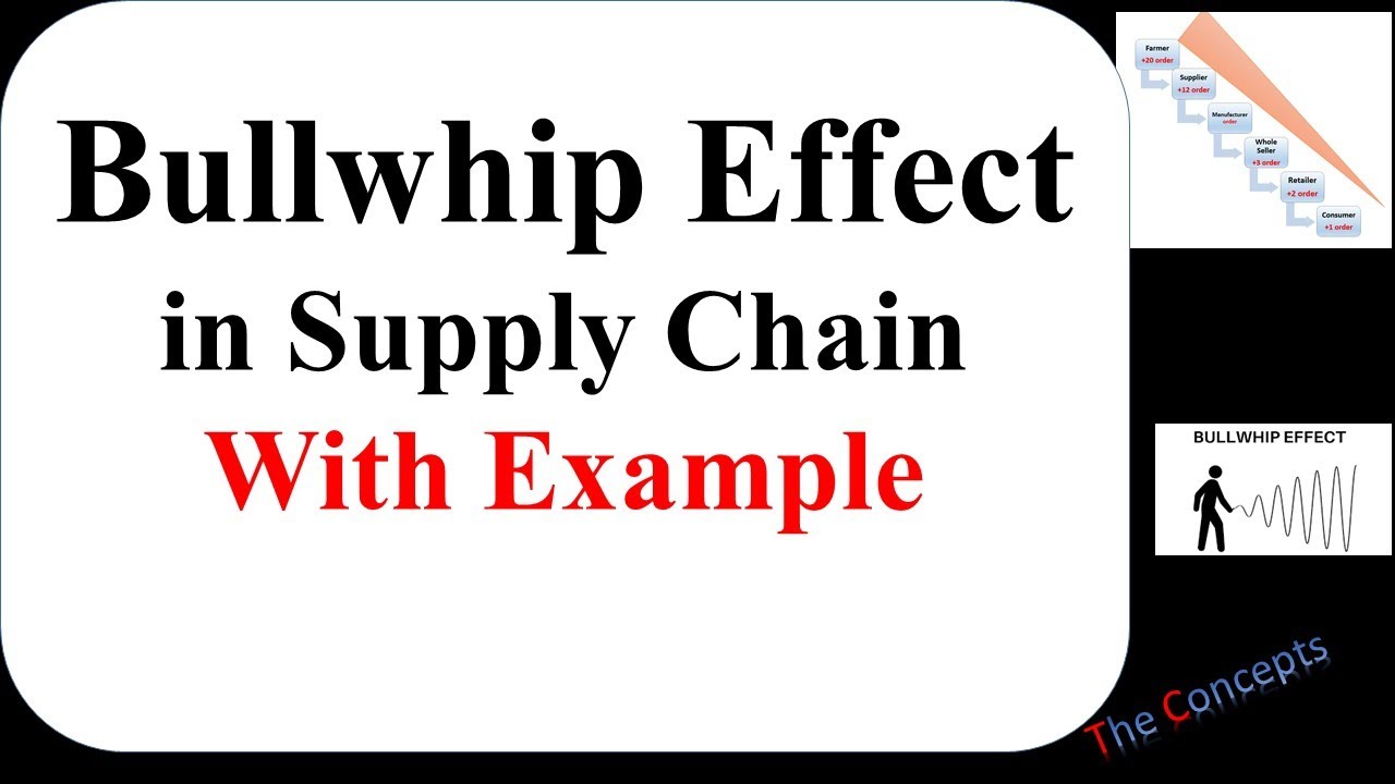 supply chain management คือ อะไร  Update  Bullwhip Effect in Supply Chain with Example