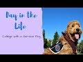 Day in the Life! || College with a Service Dog