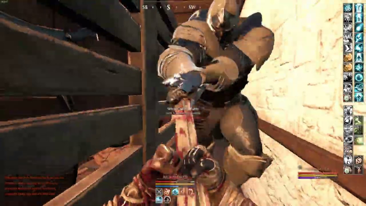 HOW TO PURE MAGE IN MORTALONLINE 2