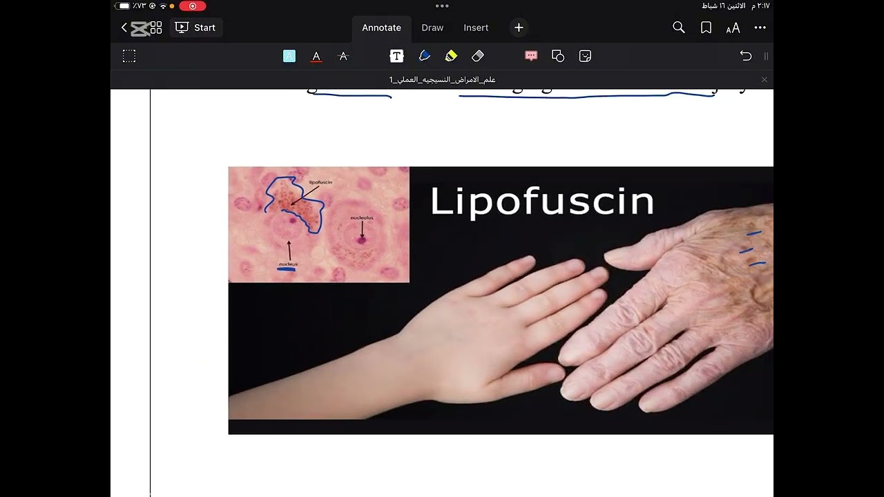  انسجة عملي Pigments and minerals تحليلات 