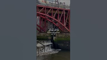 تلاوة خاشعة بصوت القارئ سعد الغامدي