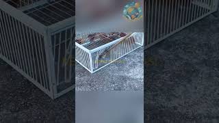 Bu Kapanın Tek Kuralı Var: Giriş Var, Çıkış Yok,,