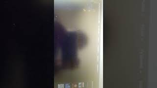 Banana Cat End Credits Was By Columbia Pictures 2012