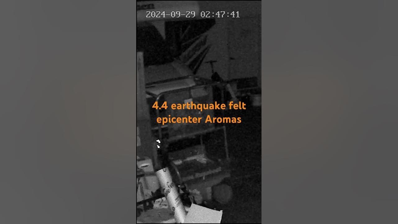 4.4 Aromas earthquake rattled our shop doors YouTube