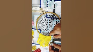 DIY Macrame Mirror Wall Hanging #shorts #diy #youtube #wallhanging