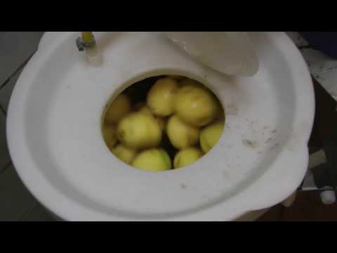 Картофелечистка. Машина очистки овощей МОК -300У обзор, работа, отзывы