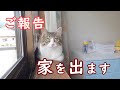 【ご報告】猫と一緒に家を出ることになりました【保護猫】