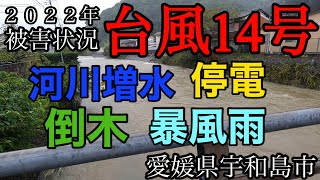 【台風14号】ケニーさんチの台風被害状況【自己破産】今後の生配信のお知らせ