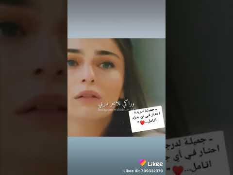 حسين الديك محلاكي