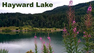 Hayward Recreation Area - Hayward Lake Mission, BC