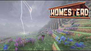 Light and Space | A Silent Homestead Playthrough | EP 8