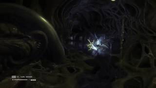 Celebrity Alien Isolation - Strolling with a Xenomorph Profile