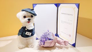 Doggo Pre-School End of the Year Awards 🤵🏻‍♂🏆