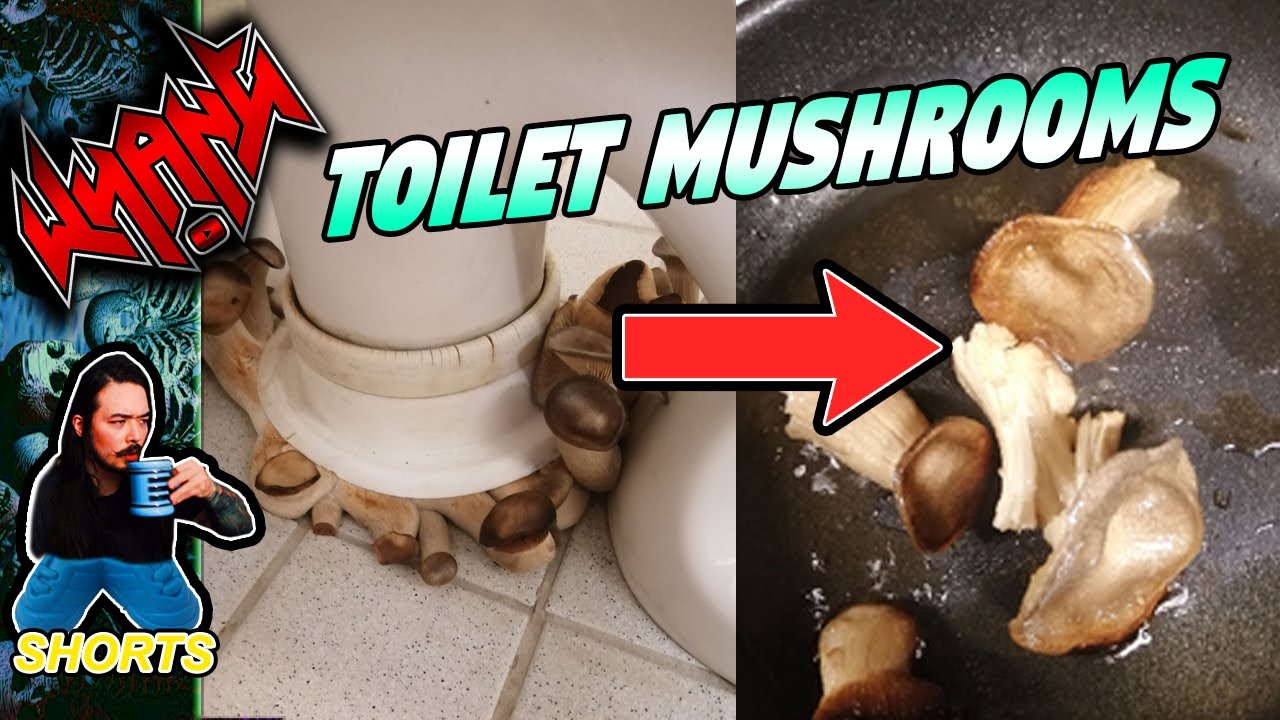 4chan Toilet Mushrooms Shorts YouTube