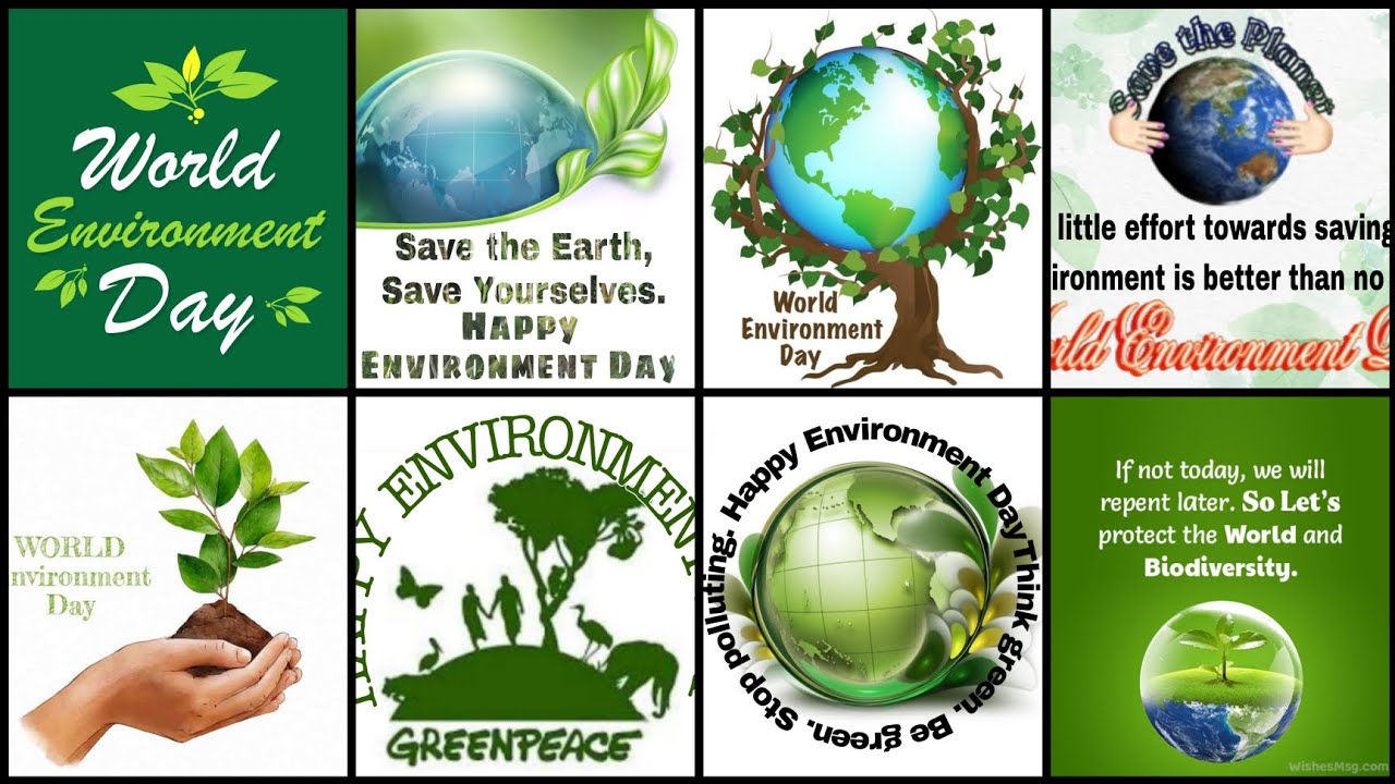 Happy World Environment Day ! Wishes And Messages On World Envirnoment Day Status | Whatsapp Dpz