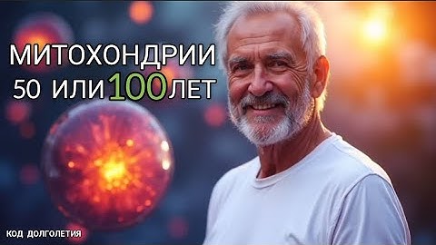 Почему митохондрии решают: Жить тебе 50 или 100 лет | Энергия, здоровье и долголетие