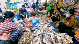 Massive Food Market Tour: Exploring Cambodian Food Scenes & Daily People Life in Market -Fish Market